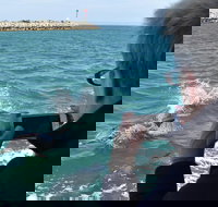 Mandurah Dolphin Island Adventure - Accommodation Yamba