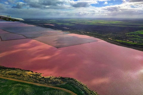 Kalbarri, Pink Lake And Abrolhos Islands Nature Tour - Accommodation Yamba 3