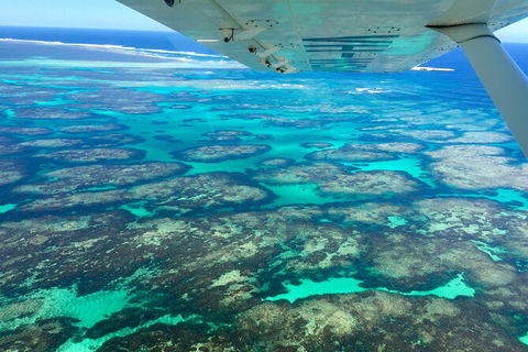 Kalbarri, Pink Lake And Abrolhos Islands Nature Tour - Accommodation Yamba 5