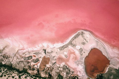 Kalbarri, Pink Lake And Abrolhos Islands Nature Tour - Accommodation Yamba 6