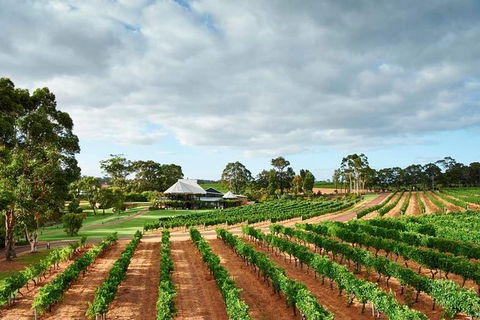 Vasse Felix Winery Tour And Tasting - Accommodation Yamba 2