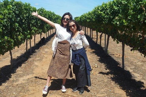 VIP Swan Valley Wine Tour - Premium Small Group Wine & Gourmet Experience - Accommodation Yamba 3