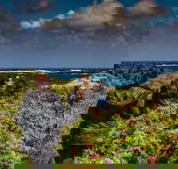 Guided Walks on the Cape to Cape - Wilyabrup Cliffs - Accommodation Yamba