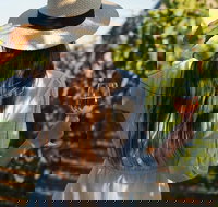 7 Hour Full Day Tour Morning Tea Chocolate Olives 3 Wineries  Lunch - Accommodation Yamba