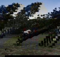 Dusk to Dawn Astronomy Margaret River - Accommodation Yamba