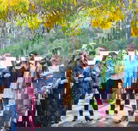 Half Day Gourmet Wine Tour - Accommodation Yamba