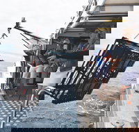 Rottnest Island Wild Seafood Package from Perth with Transfer - Accommodation Yamba