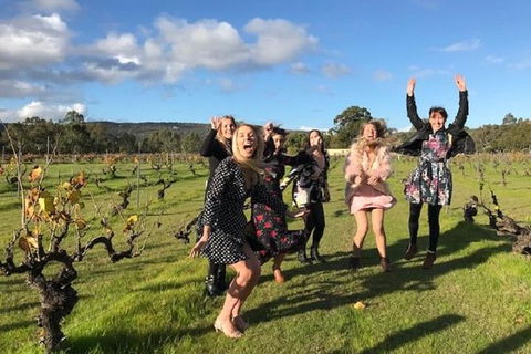 VW Kombi Food, Wine And More Tour (bring The Kids!) - Accommodation Yamba 3