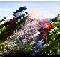 Guided Walks on the Cape to Cape - Redgate Beach to Boranup Forest - Accommodation Yamba