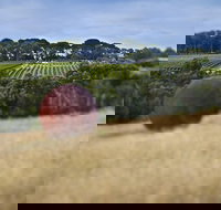 Estate to Plate Montalto Vineyard Gourmet Lunch and Wine-Tasting Tour - Accommodation Yamba