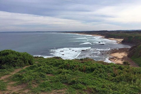Half Day Phillip Island Woolamai Walking Tour - Accommodation Yamba 0