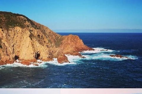 Half Day Phillip Island Woolamai Walking Tour - Accommodation Yamba 1