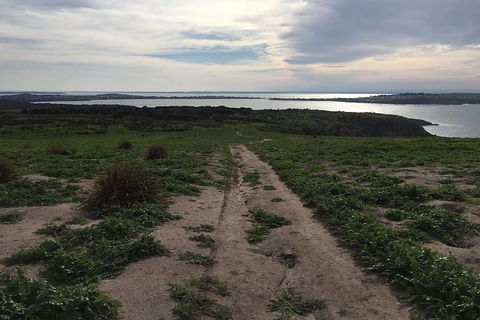 Half Day Phillip Island Woolamai Walking Tour - Accommodation Yamba 8