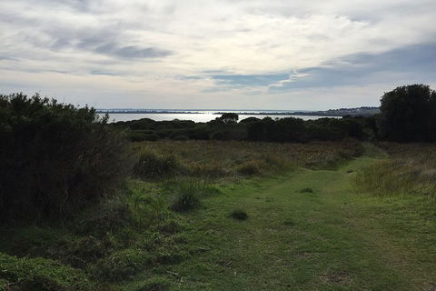 Half Day Phillip Island Woolamai Walking Tour - Accommodation Yamba 4