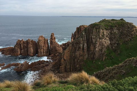 Half Day Phillip Island Woolamai Walking Tour - Accommodation Yamba 16