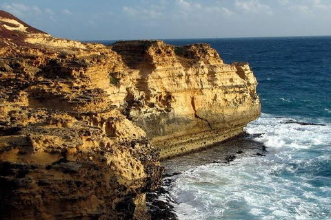 Half Day Phillip Island Woolamai Walking Tour - Accommodation Yamba 12