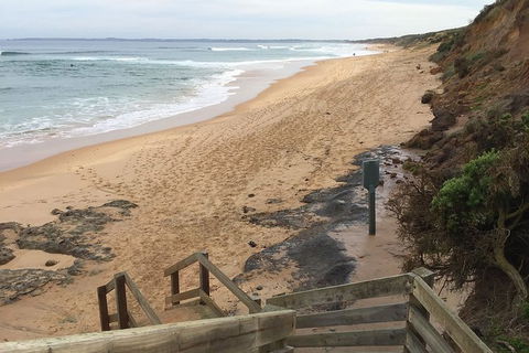 Half Day Phillip Island Woolamai Walking Tour - Accommodation Yamba 11
