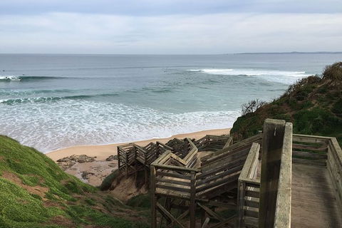 Half Day Phillip Island Woolamai Walking Tour - Accommodation Yamba 5