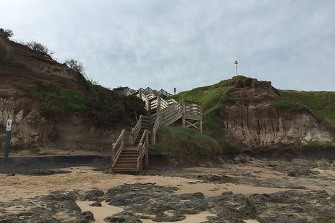 Half Day Phillip Island Woolamai Walking Tour - Accommodation Yamba 14