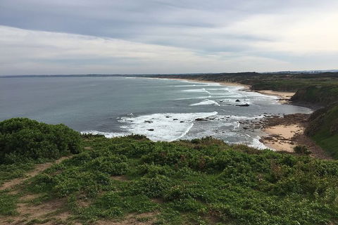 Half Day Phillip Island Woolamai Walking Tour - Accommodation Yamba 10