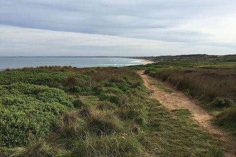 Half Day Phillip Island Woolamai Walking Tour - Accommodation Yamba 3