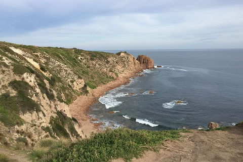 Half Day Phillip Island Woolamai Walking Tour - Accommodation Yamba 2