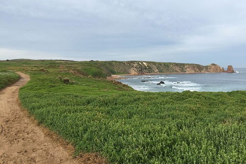 Half Day Phillip Island Woolamai Walking Tour - Accommodation Yamba 9