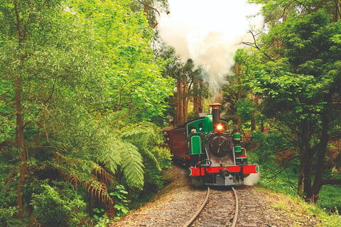 Half Day Puffing Billy Train Journey From Melbourne - Accommodation Yamba 2