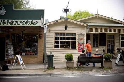 Half Day Puffing Billy Train Journey From Melbourne - Accommodation Yamba 10