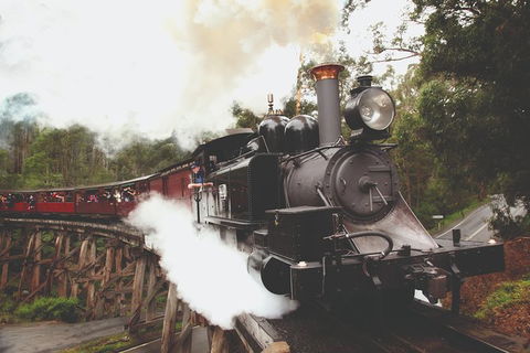 Half Day Puffing Billy Train Journey From Melbourne - Accommodation Yamba 3