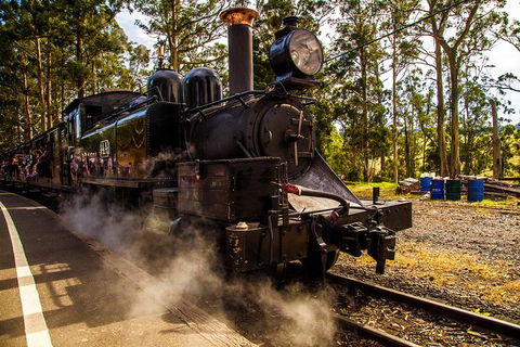 Half Day Puffing Billy Train Journey From Melbourne - Accommodation Yamba 6