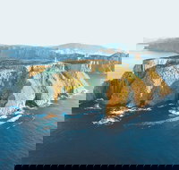 3-Hour Tasman Peninsula Wilderness Cruise from Port Arthur - Accommodation Yamba