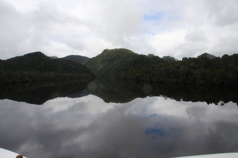 Gordon River Cruise Departing From Strahan - Accommodation Yamba 18