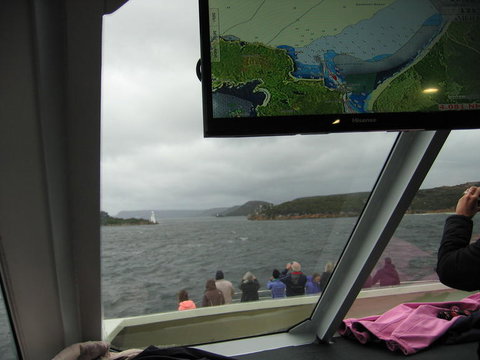 Gordon River Cruise Departing From Strahan - Accommodation Yamba 5