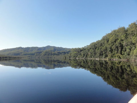 Gordon River Cruise Departing From Strahan - Accommodation Yamba 7
