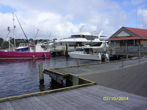 Gordon River Cruise Departing From Strahan - Accommodation Yamba 14