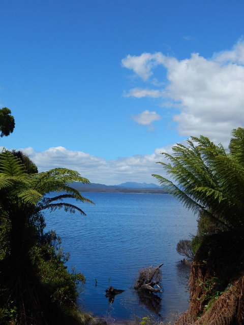 Gordon River Cruise Departing From Strahan - Accommodation Yamba 20
