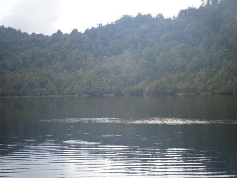 Gordon River Cruise Departing From Strahan - Accommodation Yamba 23