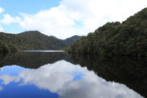 Gordon River Cruise Departing From Strahan - Accommodation Yamba 21