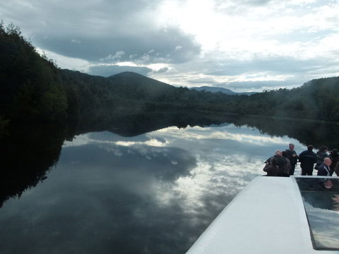 Gordon River Cruise Departing From Strahan - Accommodation Yamba 15