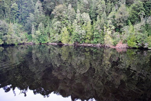 Gordon River Cruise Departing From Strahan - Accommodation Yamba 24