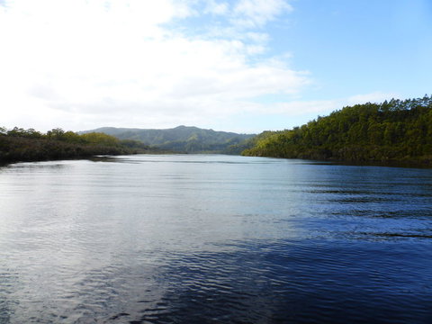 Gordon River Cruise Departing From Strahan - Accommodation Yamba 10