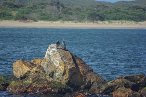 Gordon River Cruise Departing From Strahan - Accommodation Yamba 11