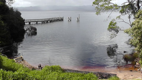 Gordon River Cruise Departing From Strahan - Accommodation Yamba 22