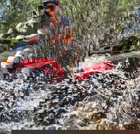 Quad Bike 2-Hour Adventure Freycinet National Park - Accommodation Yamba
