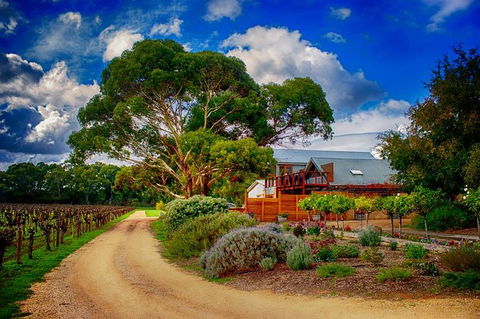 Langhorne Creek Wine Region Small Group Day Trip From Adelaide Or Glenelg - Accommodation Yamba 0