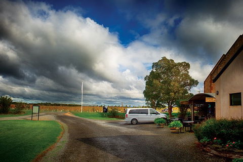 Langhorne Creek Wine Region Small Group Day Trip From Adelaide Or Glenelg - Accommodation Yamba 4