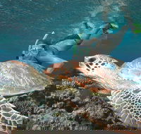 Great Barrier Reef Sailing and Snorkeling Cruise from Port Douglas - Accommodation Yamba