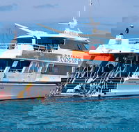 Poseidon Outer Great Barrier Reef Snorkeling and Diving Cruise from Port Douglas - Accommodation Yamba
