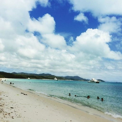 Whitehaven Beach Half-Day Cruises - Accommodation Yamba 11